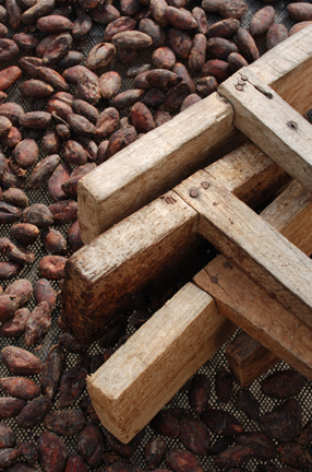 Christopher Curtin - Cocoa Beans and Wood